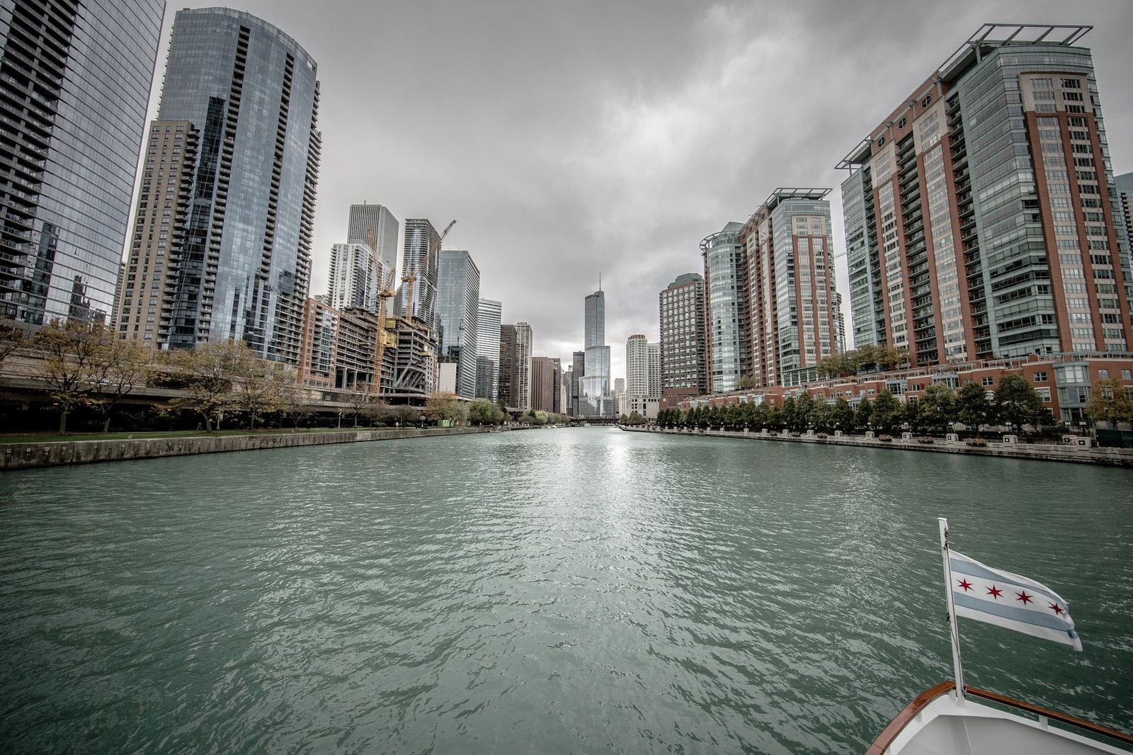 kierowca chicago